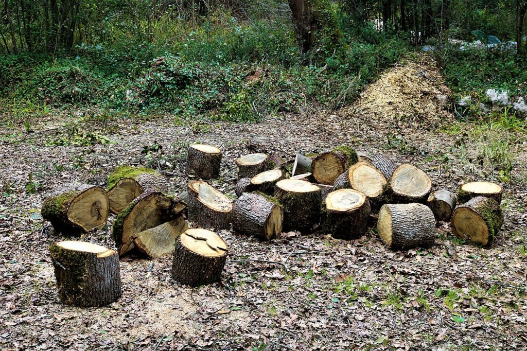 Les rondelles de bois peuvent être transformées en accessoires déco originaux - Cette photo a été prise dans ce pays : Croatie