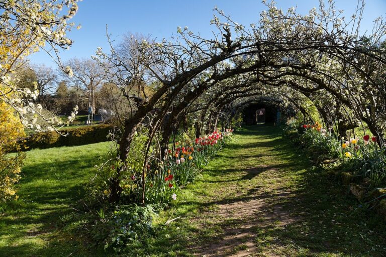 Aménager son jardin en été : 12 belles idées pour un espace extérieur agréable