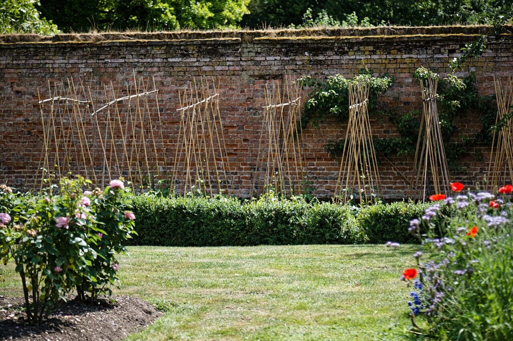 Potager de juin - Garden wall, and vegetable border with runner bean planting, from the lawn in the walled garden at the Gardens of Easton Lodge, a 19