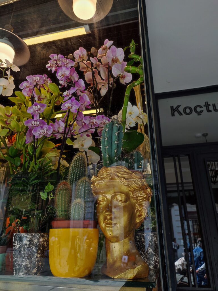 Astuces pour faire fleurir les orchidées plus longtemps : les secrets pour une plante magnifique