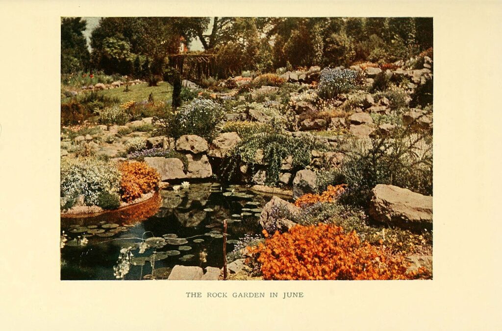 Plantes et pierres pour une rocaille magnifique - The book of hardy flowers; a simple and complete descriptive guide to the cultivation in gardens of 