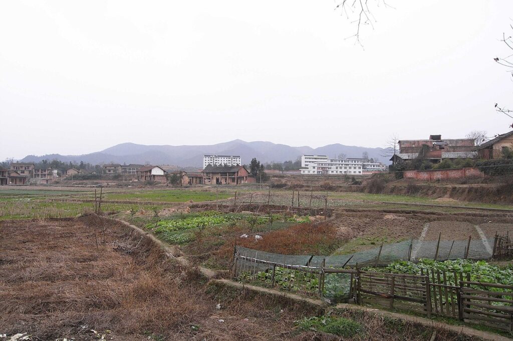 Potager de juin - Vegetable garden in unidentified country